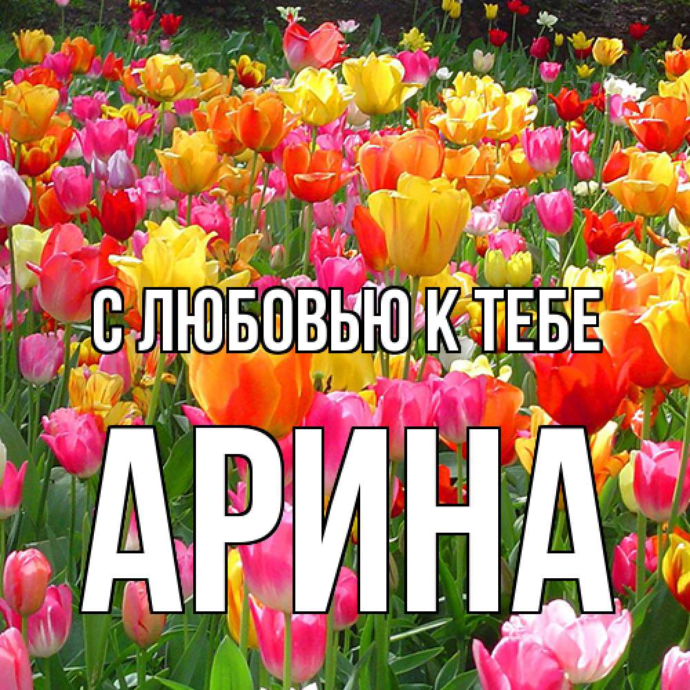 Открытка  с именем. Арина, С любовью к тебе  