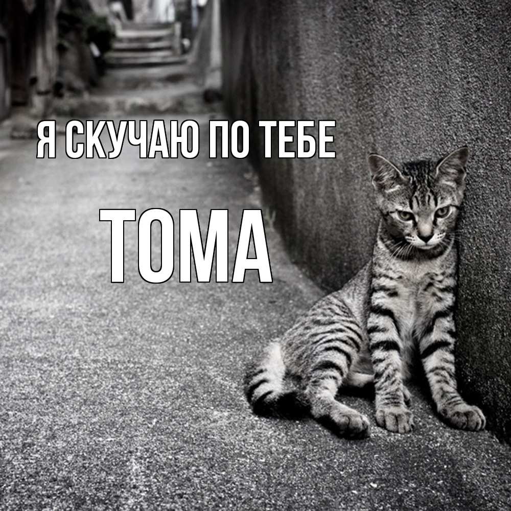 Открытка  с именем. Тома, Я скучаю по тебе  