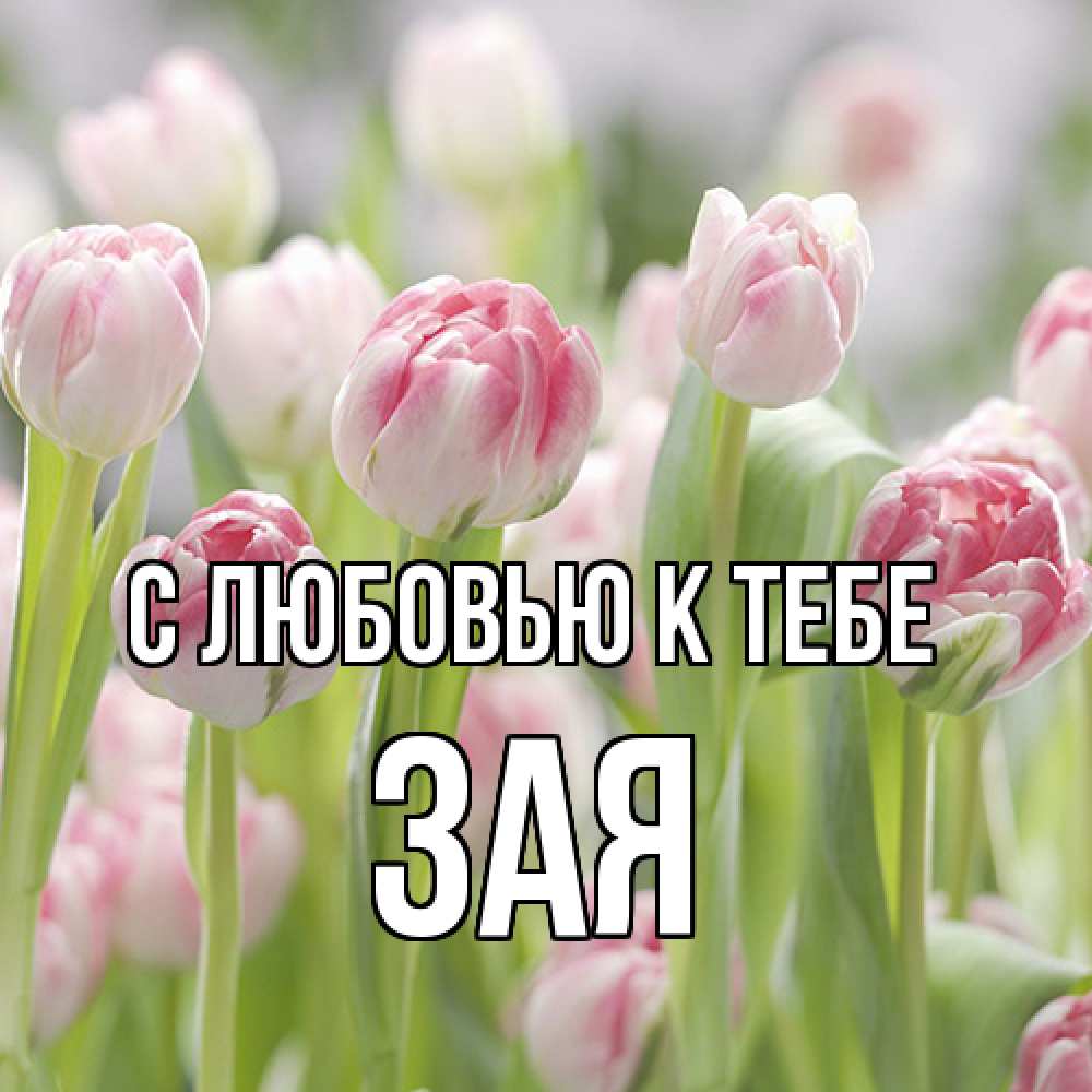Открытка  с именем. Зая, С любовью к тебе  