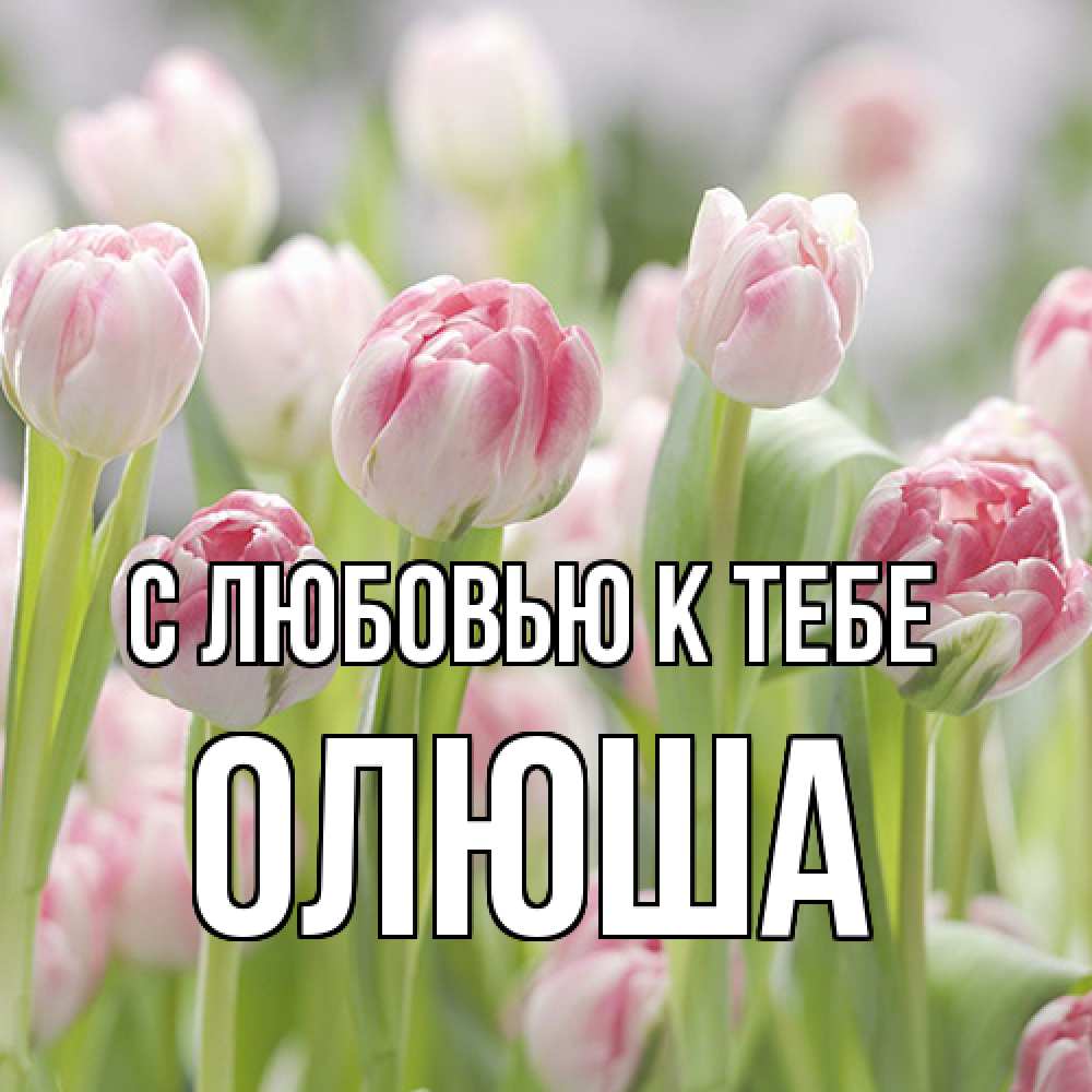 Открытка  с именем. Олюша, С любовью к тебе  
