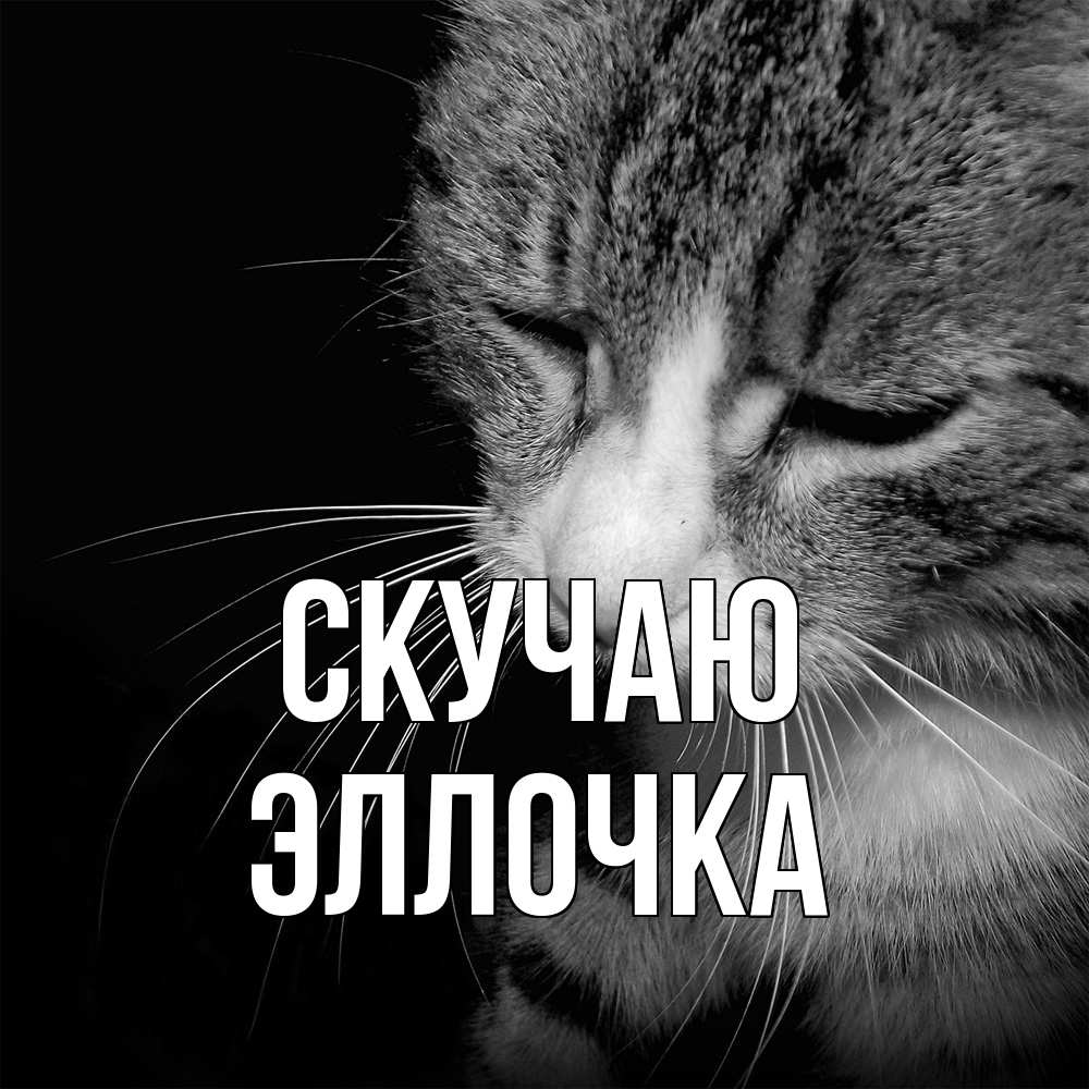 Открытка  с именем. Эллочка, Скучаю  