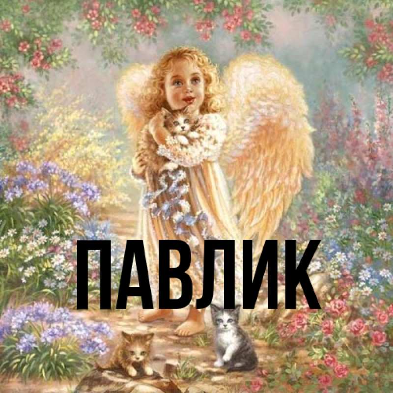Картинка  с именем , Павлик