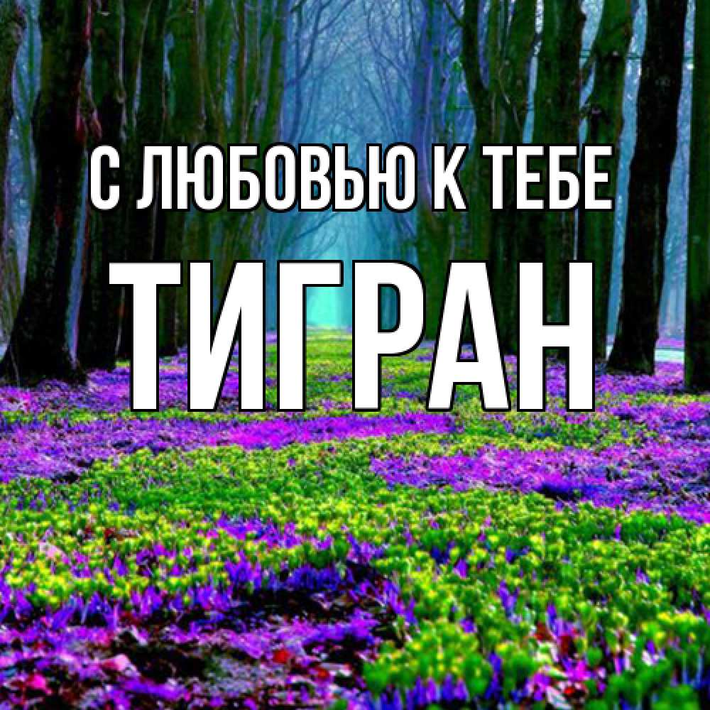 Открытка  с именем. Тигран, С любовью к тебе  