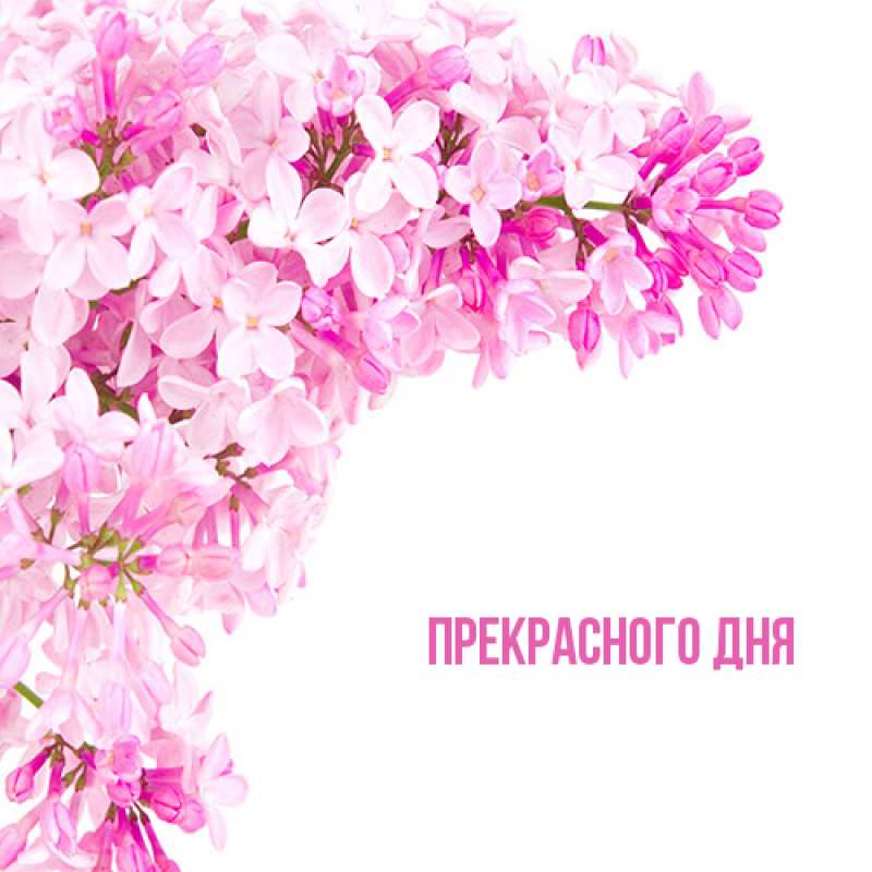 Картинка Прекрасного дня, 