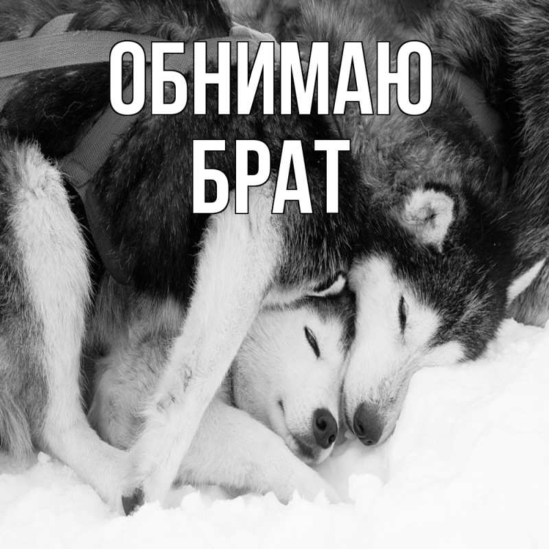 Картинка Обнимаю, Брат