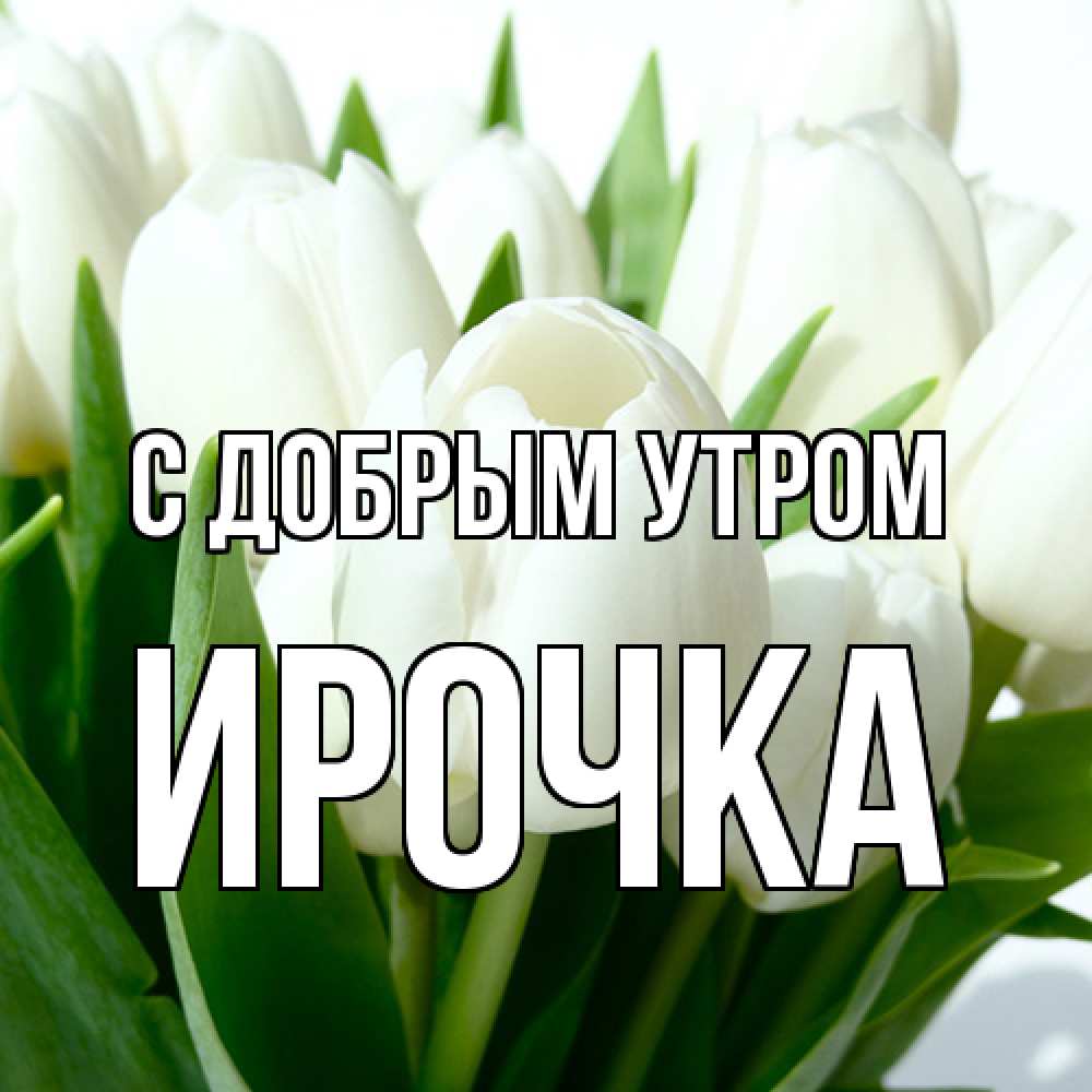 Открытка  с именем. Ирочка, С добрым утром  