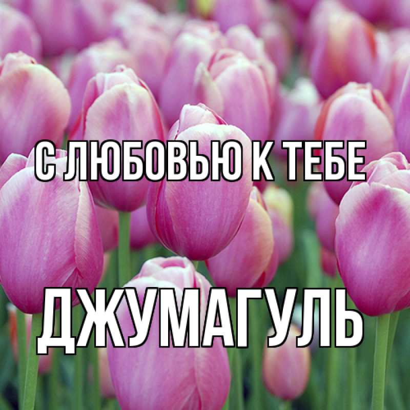Картинка С любовью к тебе, Джумагуль