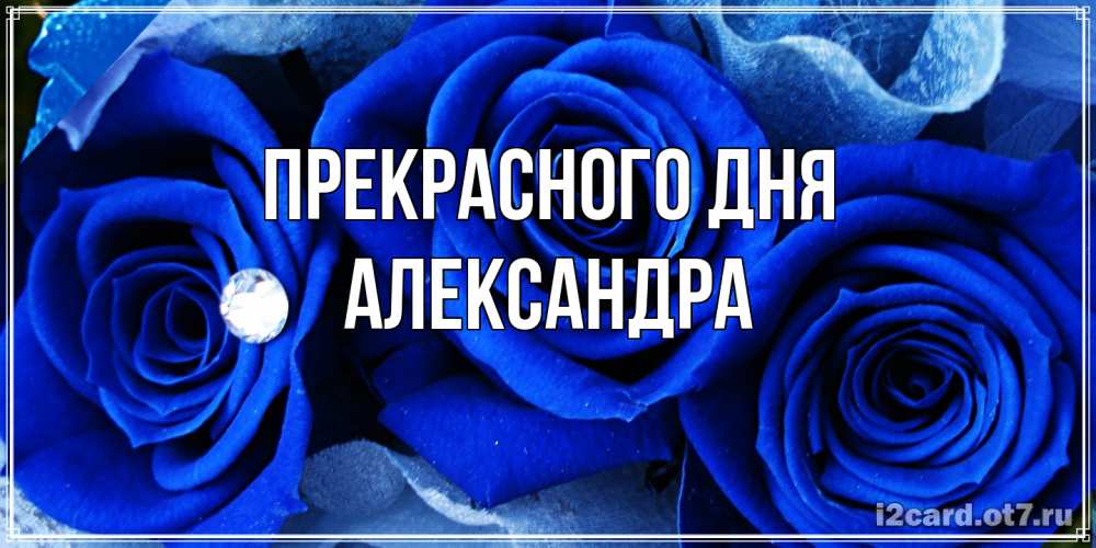 Открытка  с именем. Александра, Прекрасного дня  
