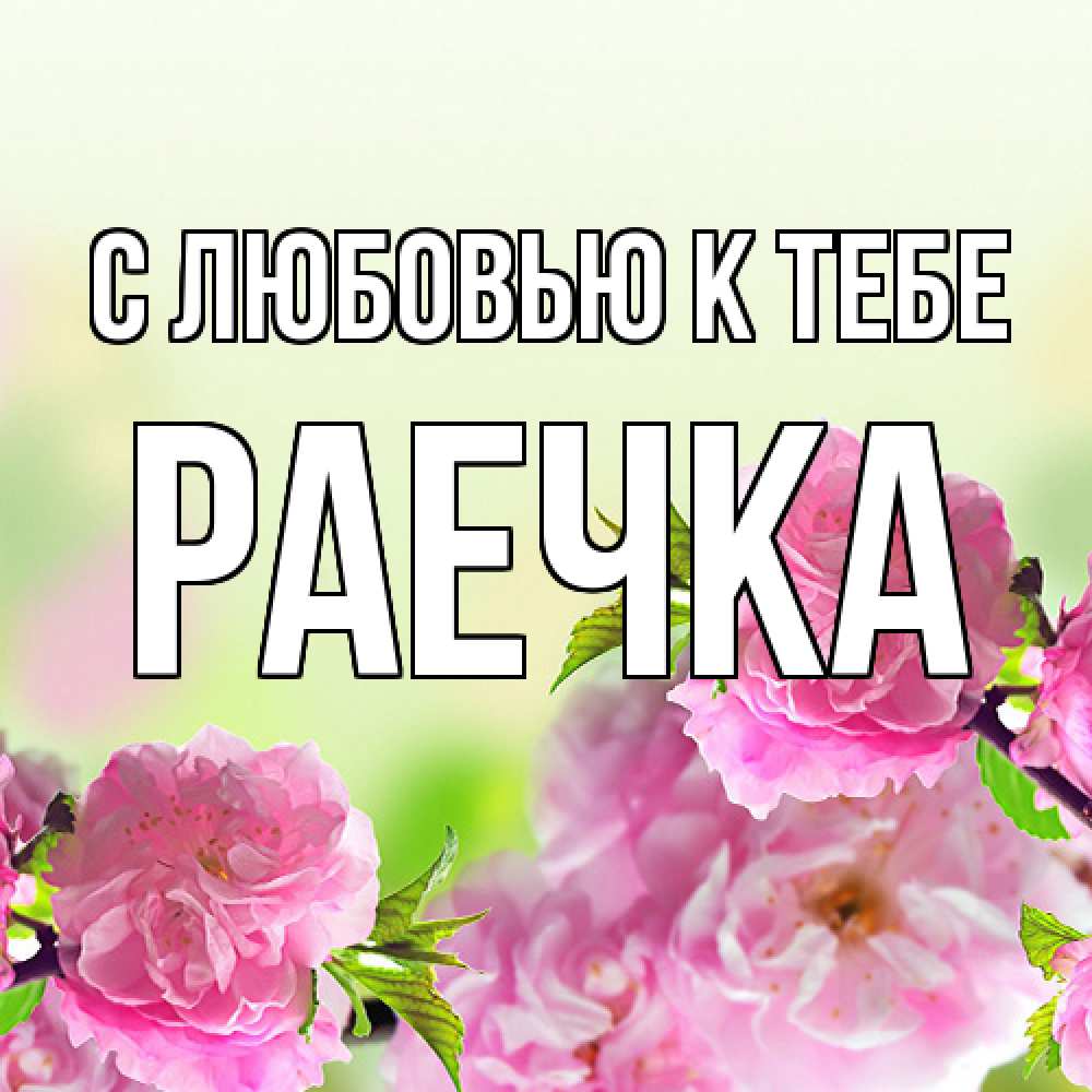 Открытка  с именем. Раечка, С любовью к тебе  