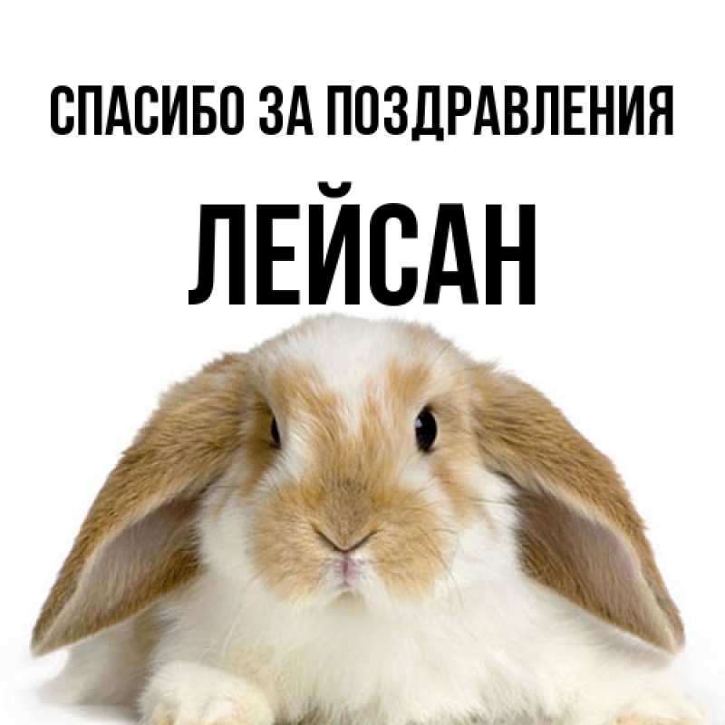 Картинка Спасибо за поздравления, Лейсан