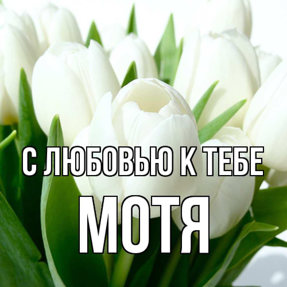 Открытка  с именем. Мотя, С любовью к тебе  