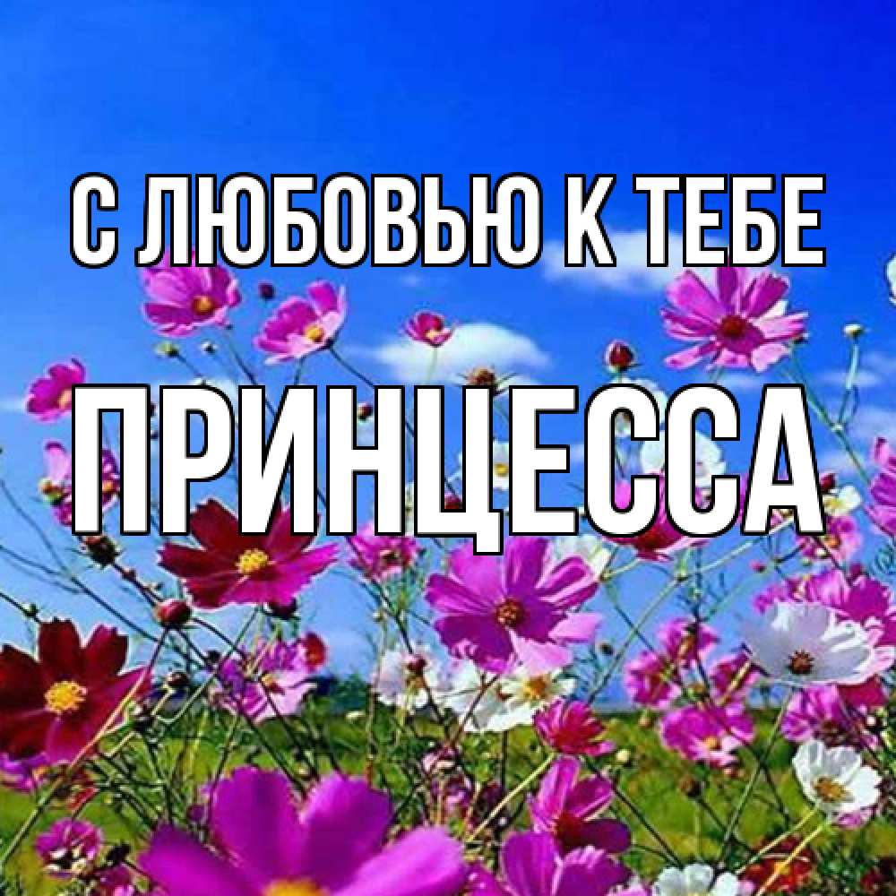 Открытка  с именем. Принцесса, С любовью к тебе  