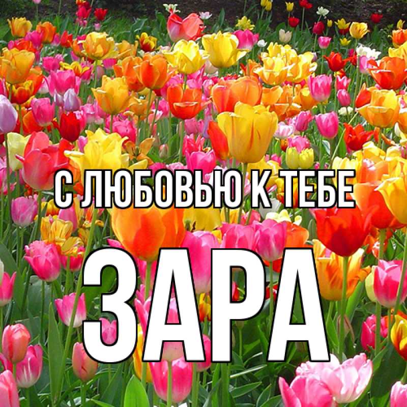 Картинка С любовью к тебе, Зара