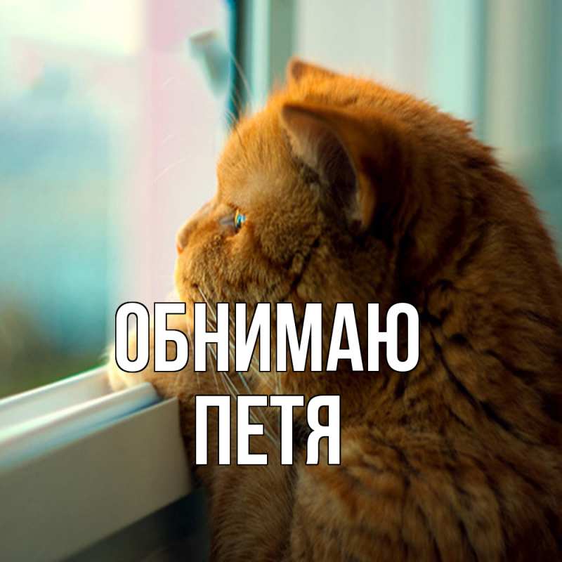 Картинка Обнимаю, Петя