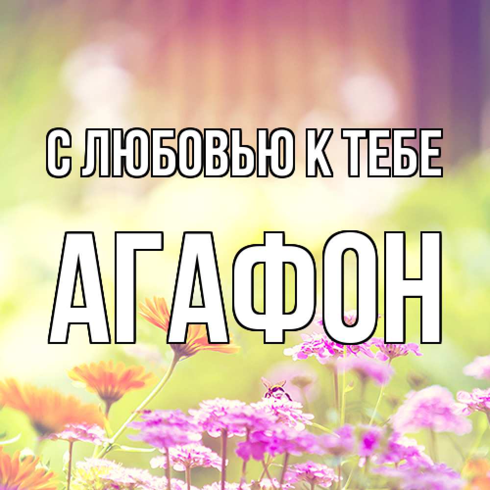 Открытка  с именем. Агафон, С любовью к тебе  