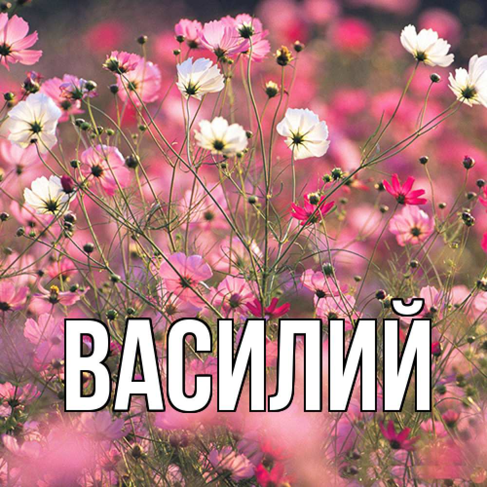 Открытка  с именем. Василий, Главная  