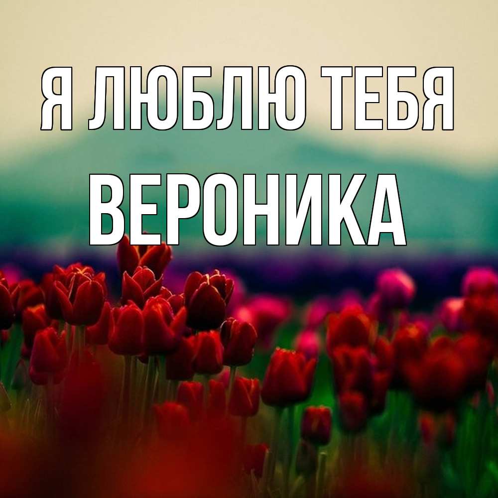 Открытка  с именем. Вероника, Я люблю тебя  