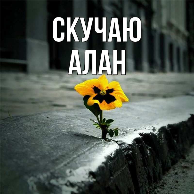 Картинка Скучаю, Алан