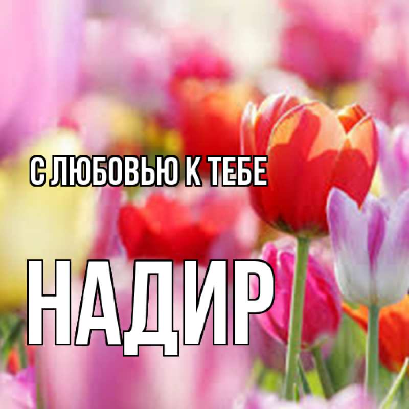 Картинка С любовью к тебе, Надир