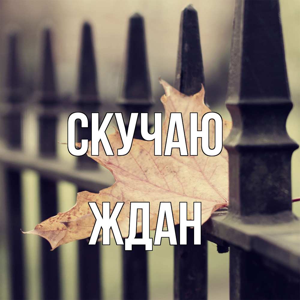 Открытка  с именем. Ждан, Скучаю  