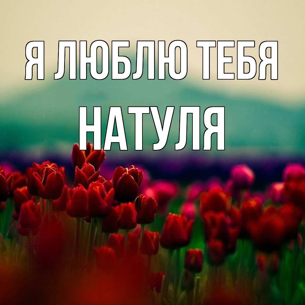 Открытка  с именем. Натуля, Я люблю тебя  