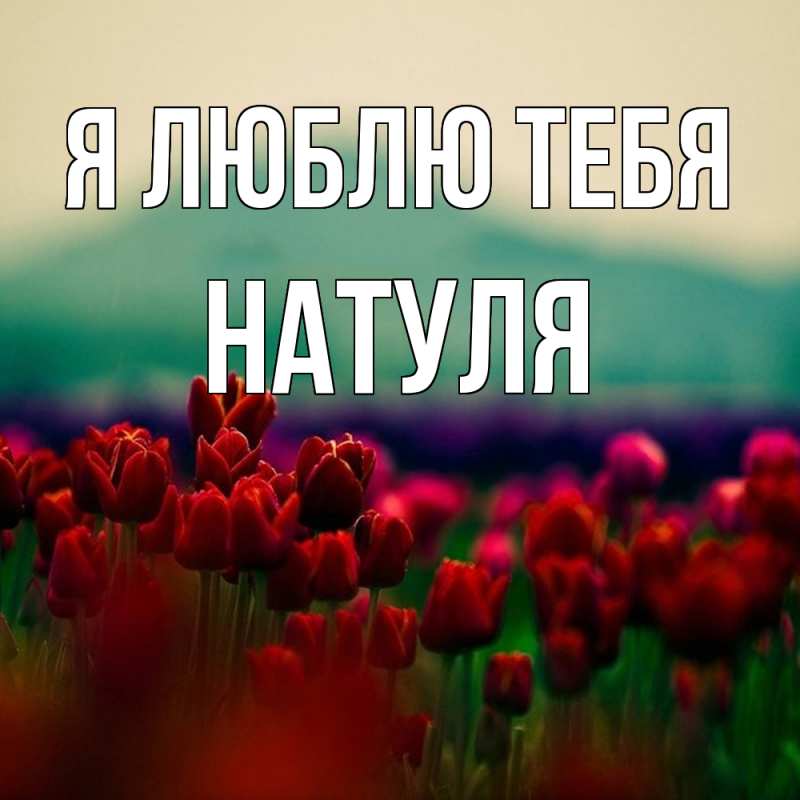 Картинка Я люблю тебя, Натуля