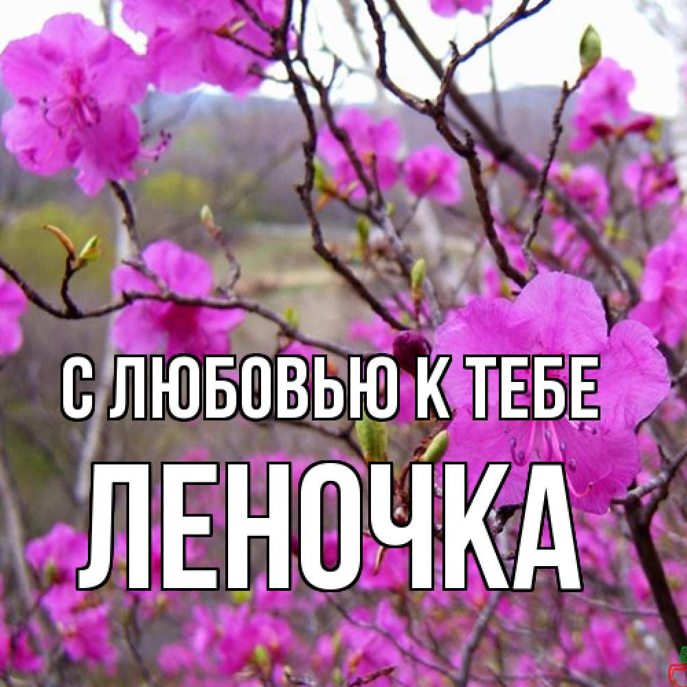 Открытка  с именем. ЛЕНОЧКА, С любовью к тебе  