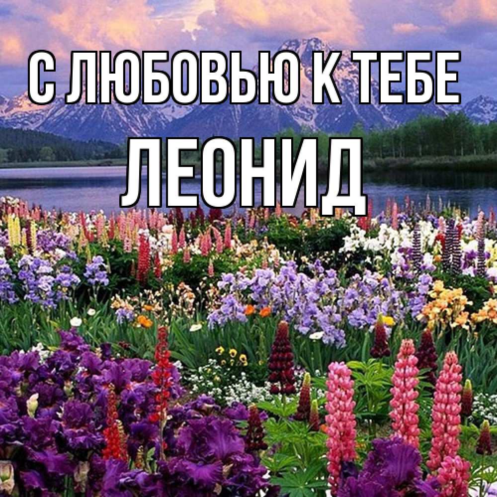 Открытка  с именем. Леонид, С любовью к тебе  