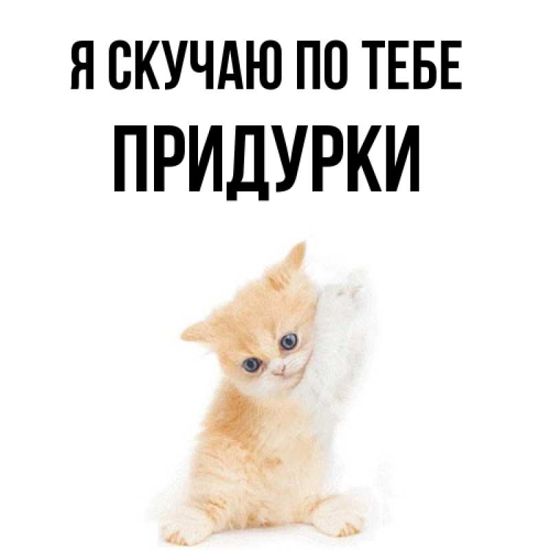 Картинка Я скучаю по тебе, Придурки