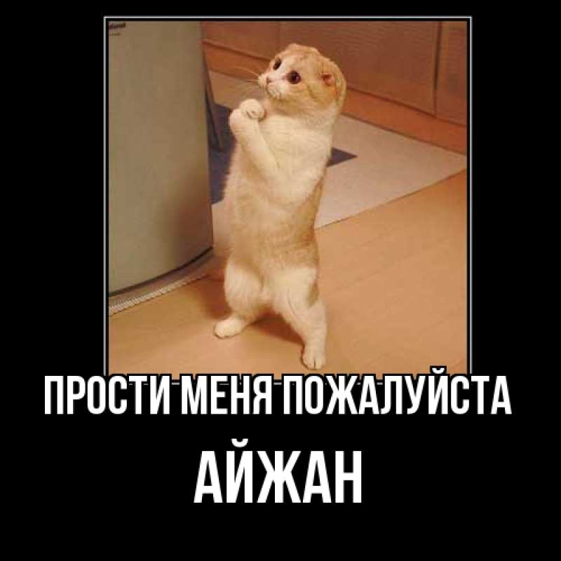 Картинка Прости меня пожалуйста, Айжан