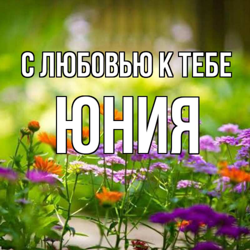 Картинка С любовью к тебе, Юния