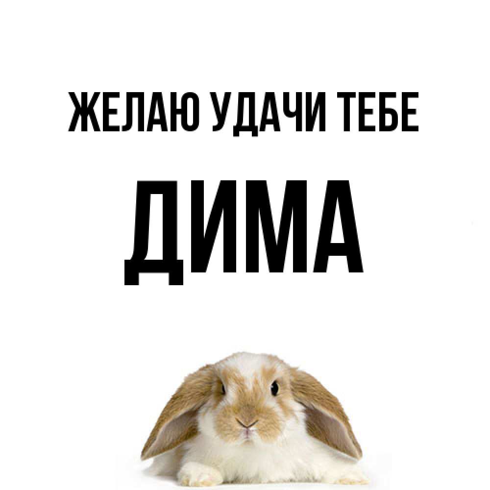 Открытка  с именем. Дима, Желаю удачи тебе  