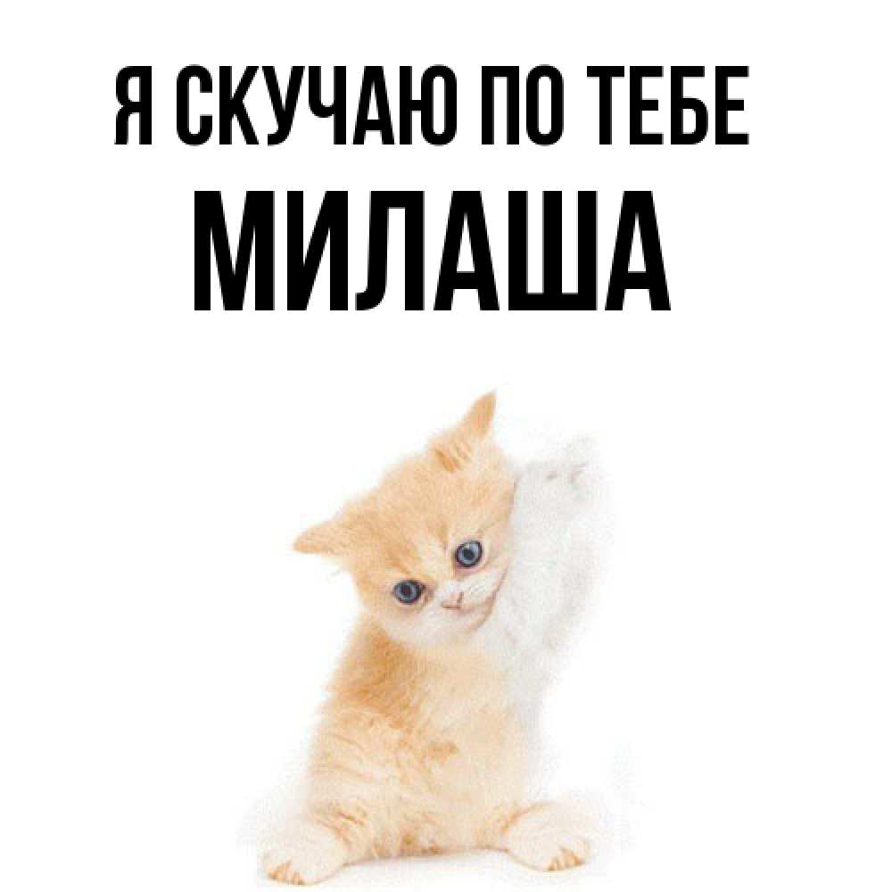 Открытка  с именем. Милаша, Я скучаю по тебе  