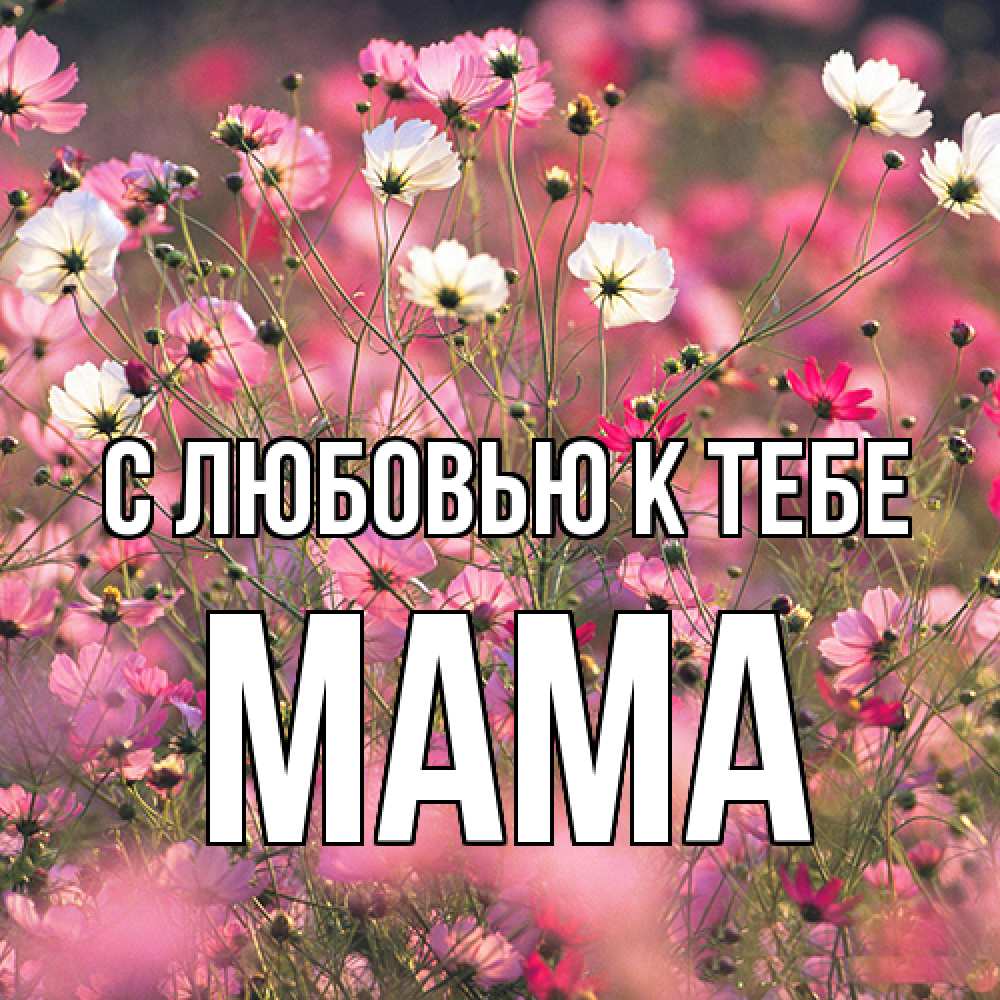 Открытка  с именем. Мама, С любовью к тебе  