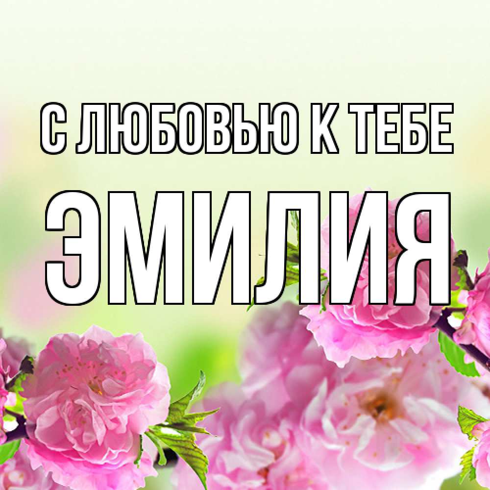 Открытка  с именем. Эмилия, С любовью к тебе  