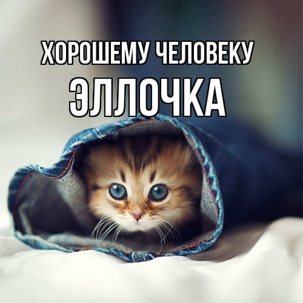 Открытка  с именем. Эллочка, Хорошему человеку  