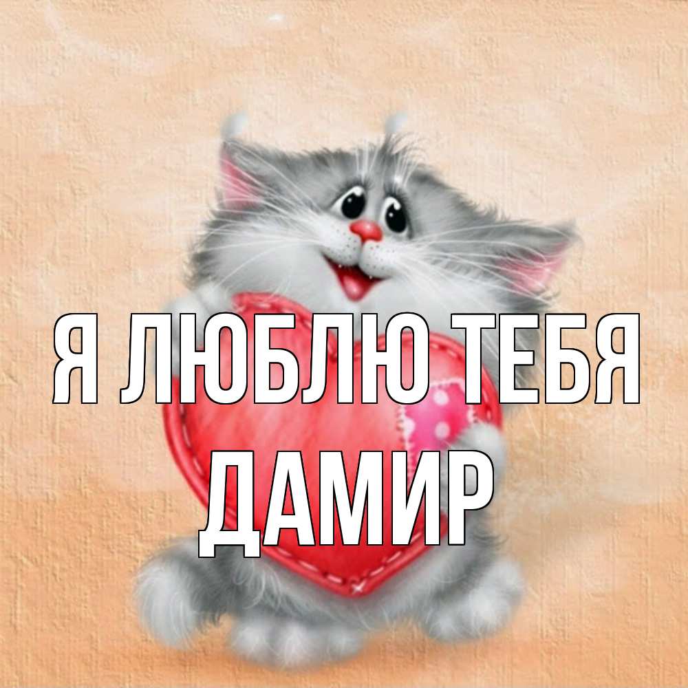 Открытка  с именем. Дамир, Я люблю тебя  