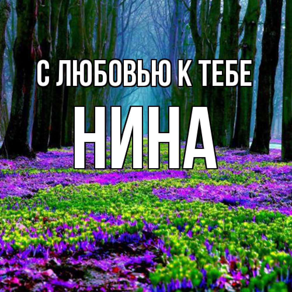 Открытка  с именем. Нина, С любовью к тебе  
