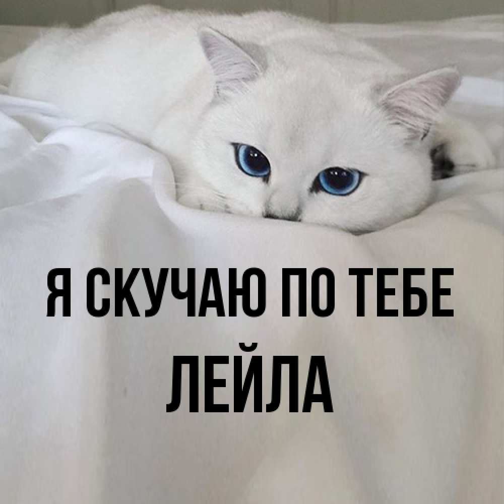 Открытка  с именем. Лейла, Я скучаю по тебе  