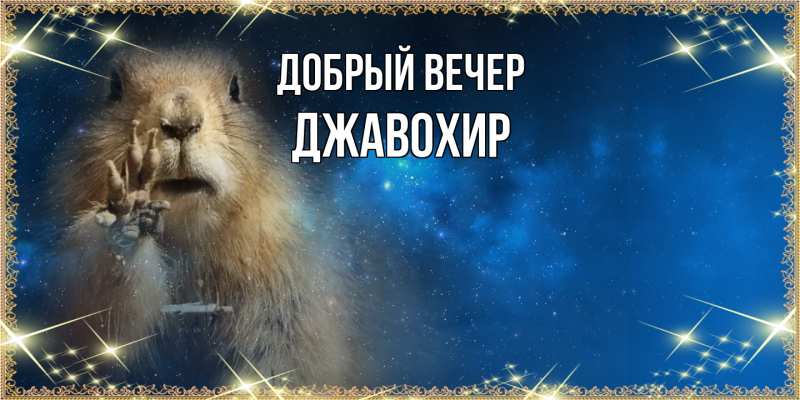 Картинка Добрый вечер, Джавохир