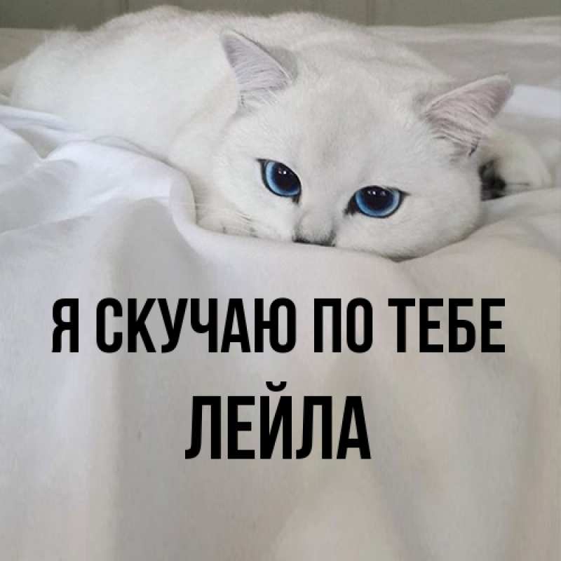 Картинка Я скучаю по тебе, Лейла