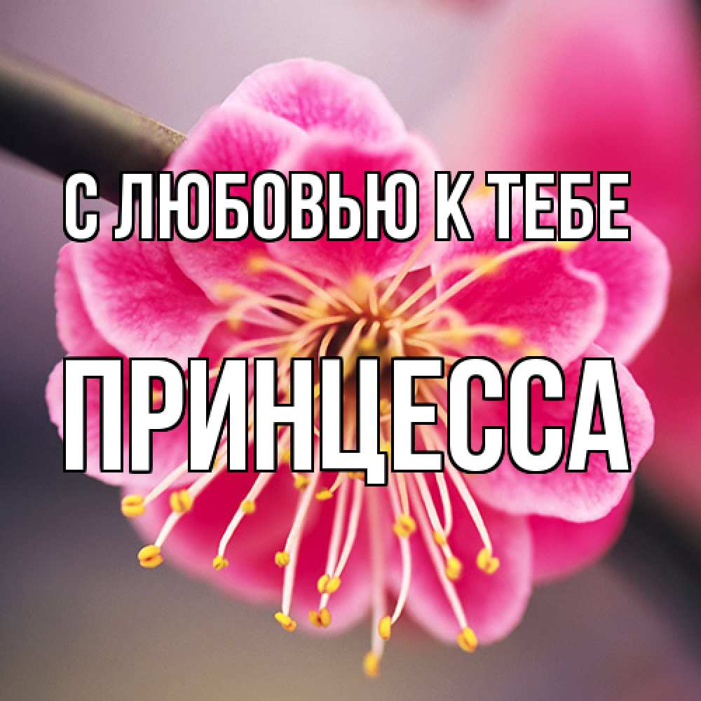 Открытка  с именем. Принцесса, С любовью к тебе  