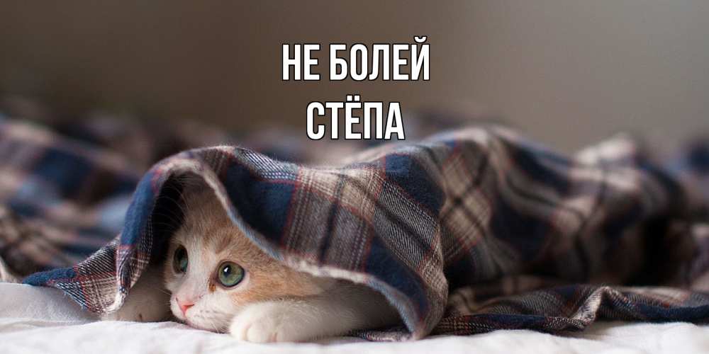 Открытка  с именем. Стёпа, Не болей  