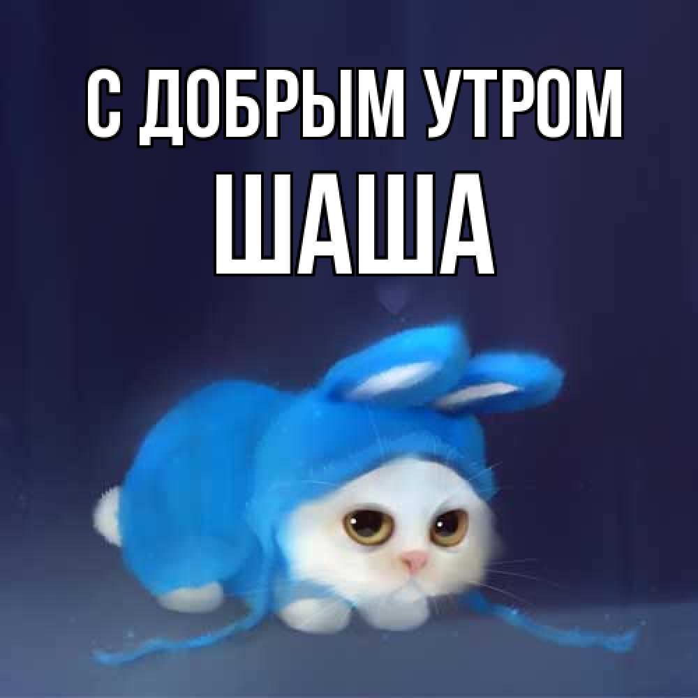Открытка  с именем. Шаша, С добрым утром  