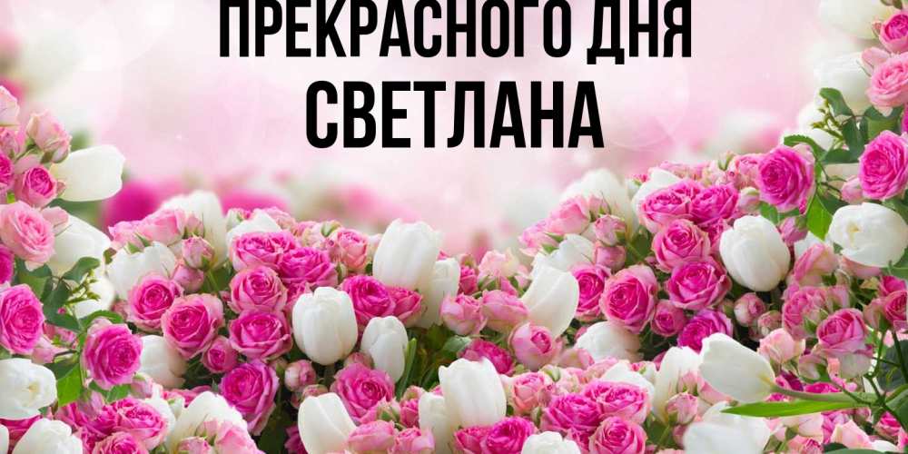 Открытка  с именем. светлана, Прекрасного дня  