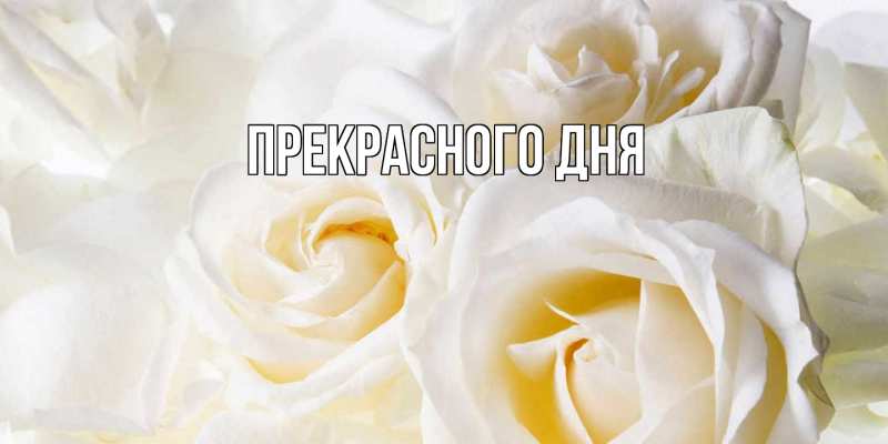 Картинка Прекрасного дня, 