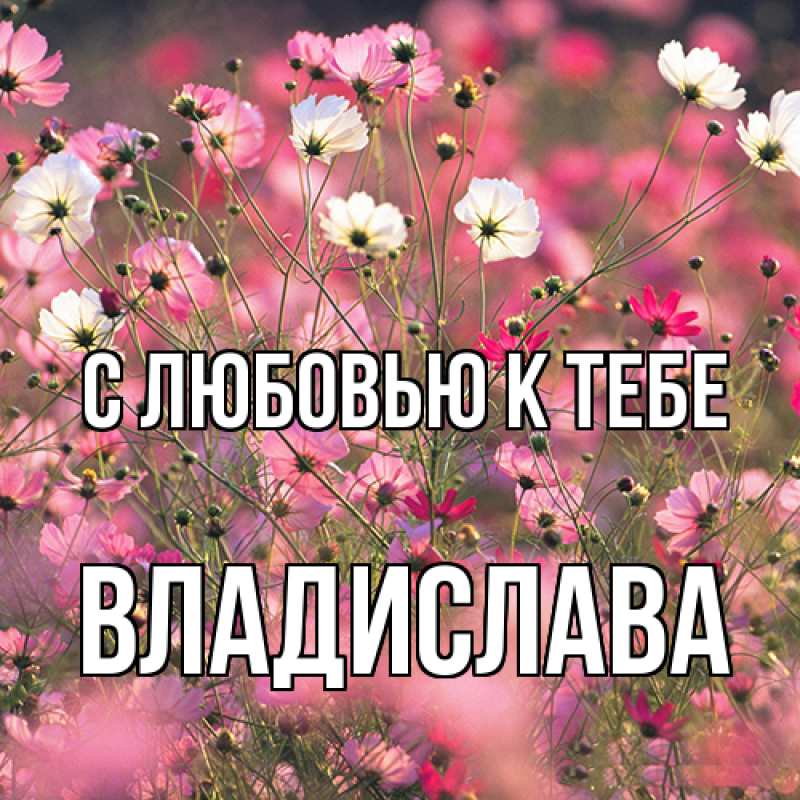Картинка С любовью к тебе, Владислава