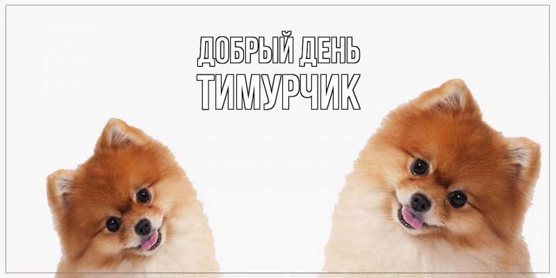 Картинка Добрый день, Тимурчик