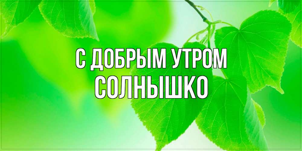 Открытка  с именем. Солнышко, С добрым утром  