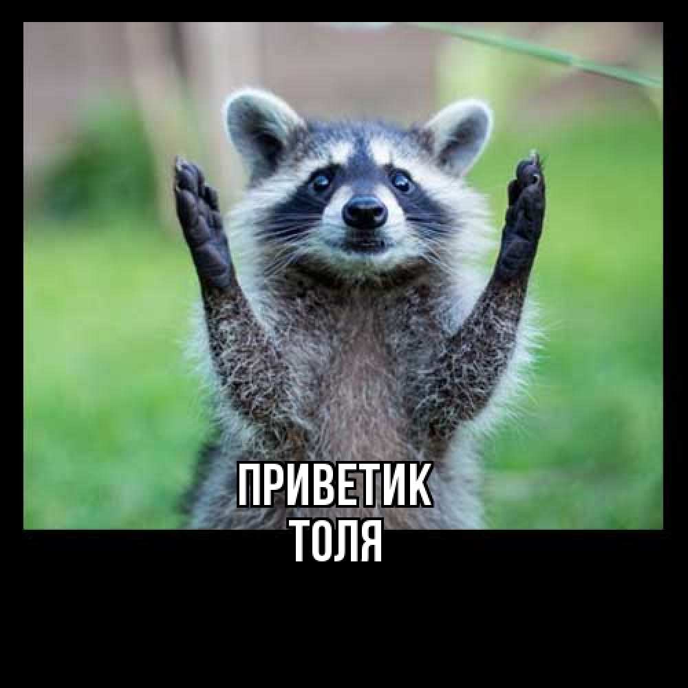 Открытка  с именем. ТОЛЯ, приветик  